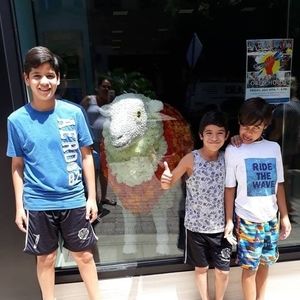 Meet your Posher, Cynthia